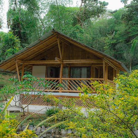 Finca Las Palmas Ecolodge Puyo Extérieur photo