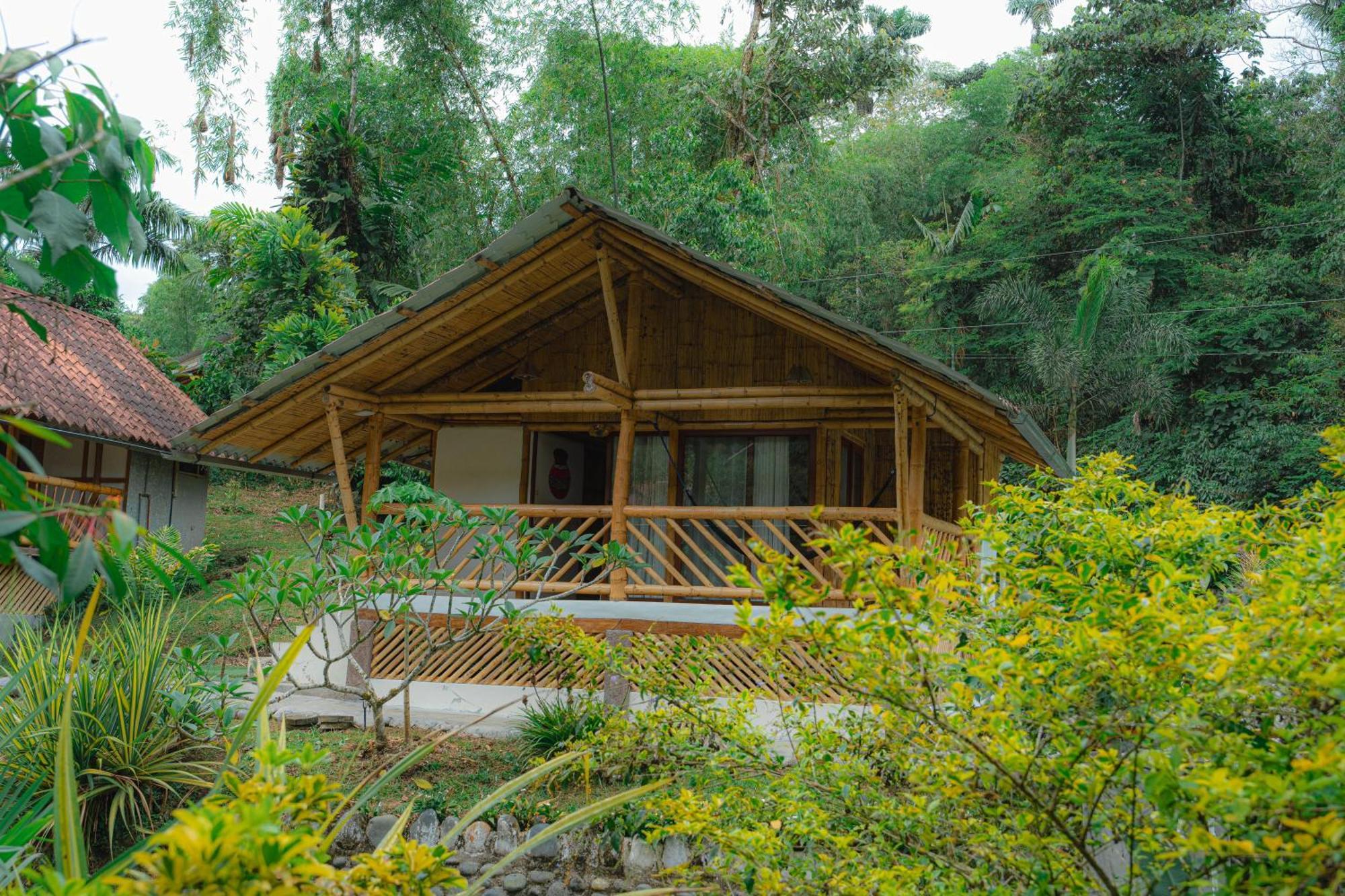 Finca Las Palmas Ecolodge Puyo Extérieur photo