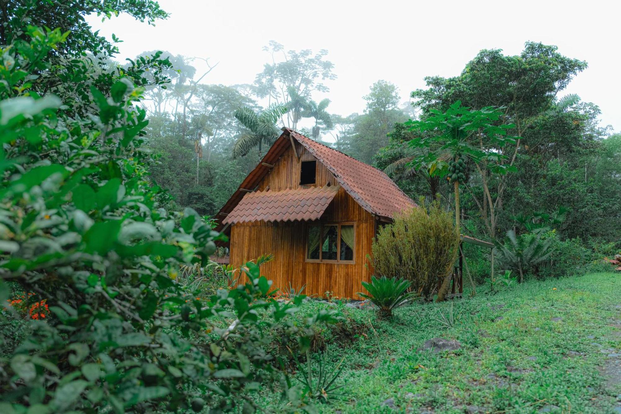 Finca Las Palmas Ecolodge Puyo Extérieur photo