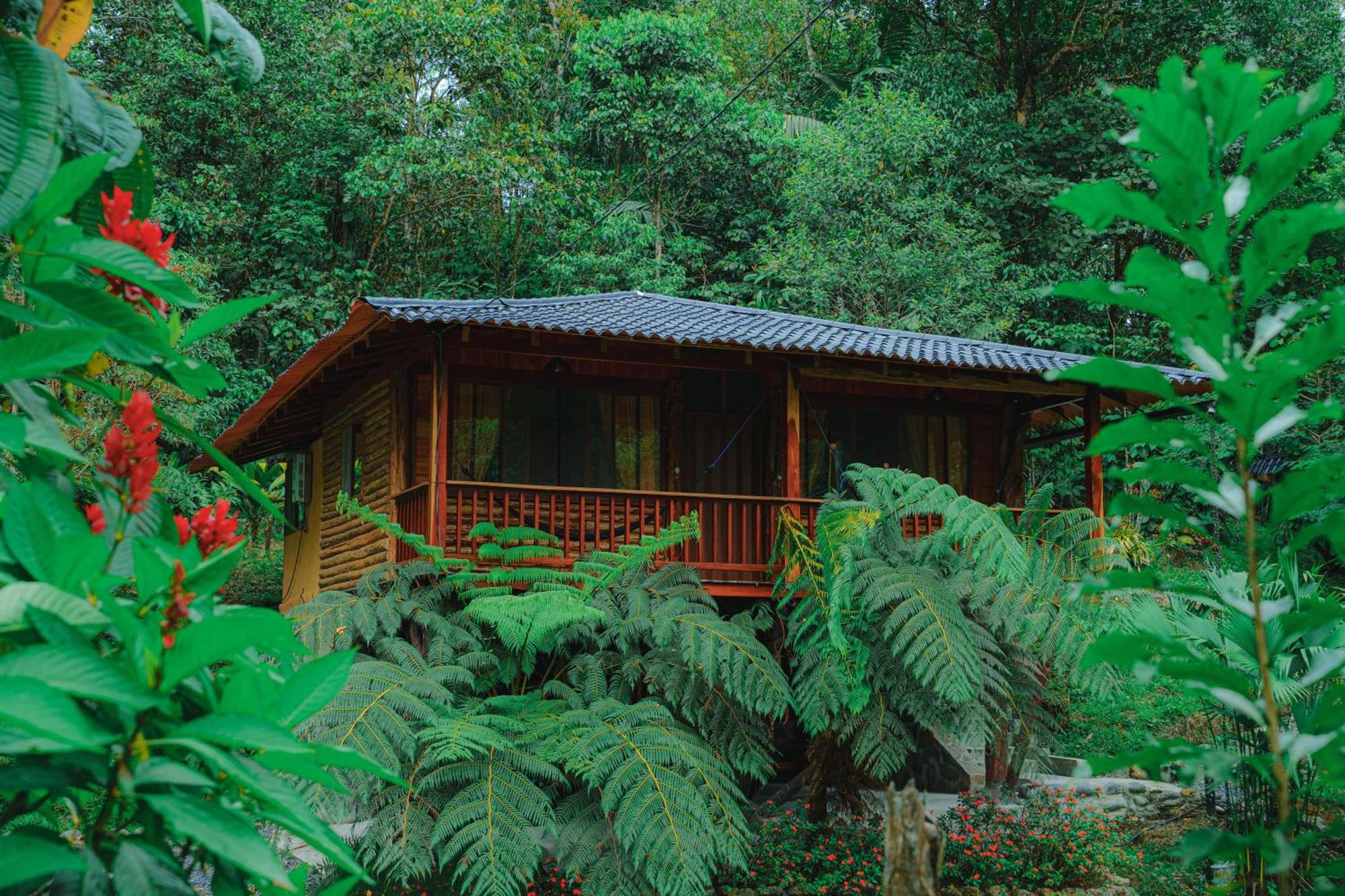Finca Las Palmas Ecolodge Puyo Extérieur photo