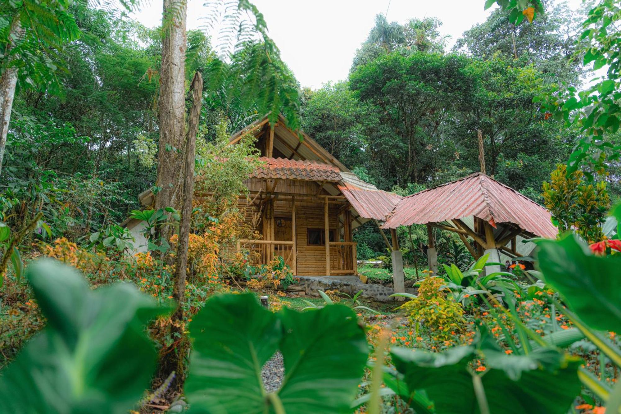 Finca Las Palmas Ecolodge Puyo Extérieur photo