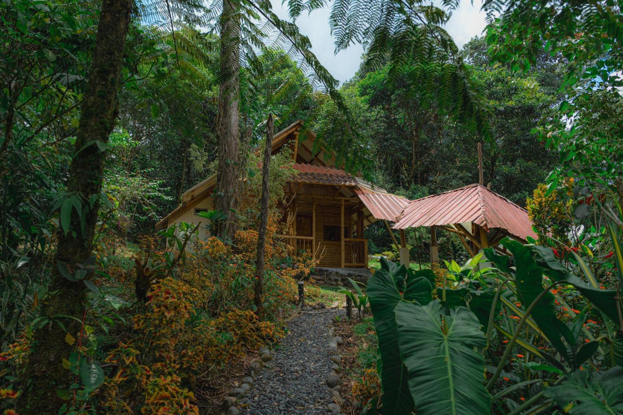 Finca Las Palmas Ecolodge Puyo Extérieur photo