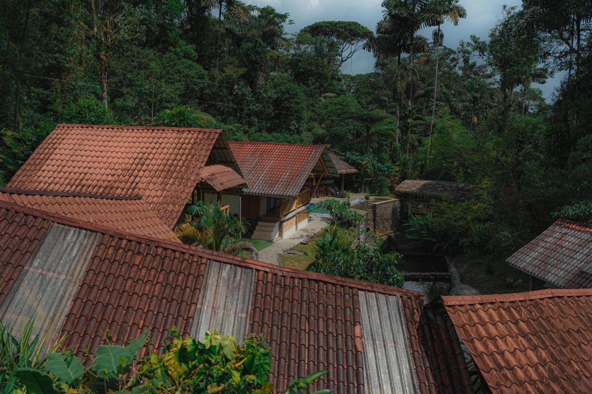 Finca Las Palmas Ecolodge Puyo Extérieur photo