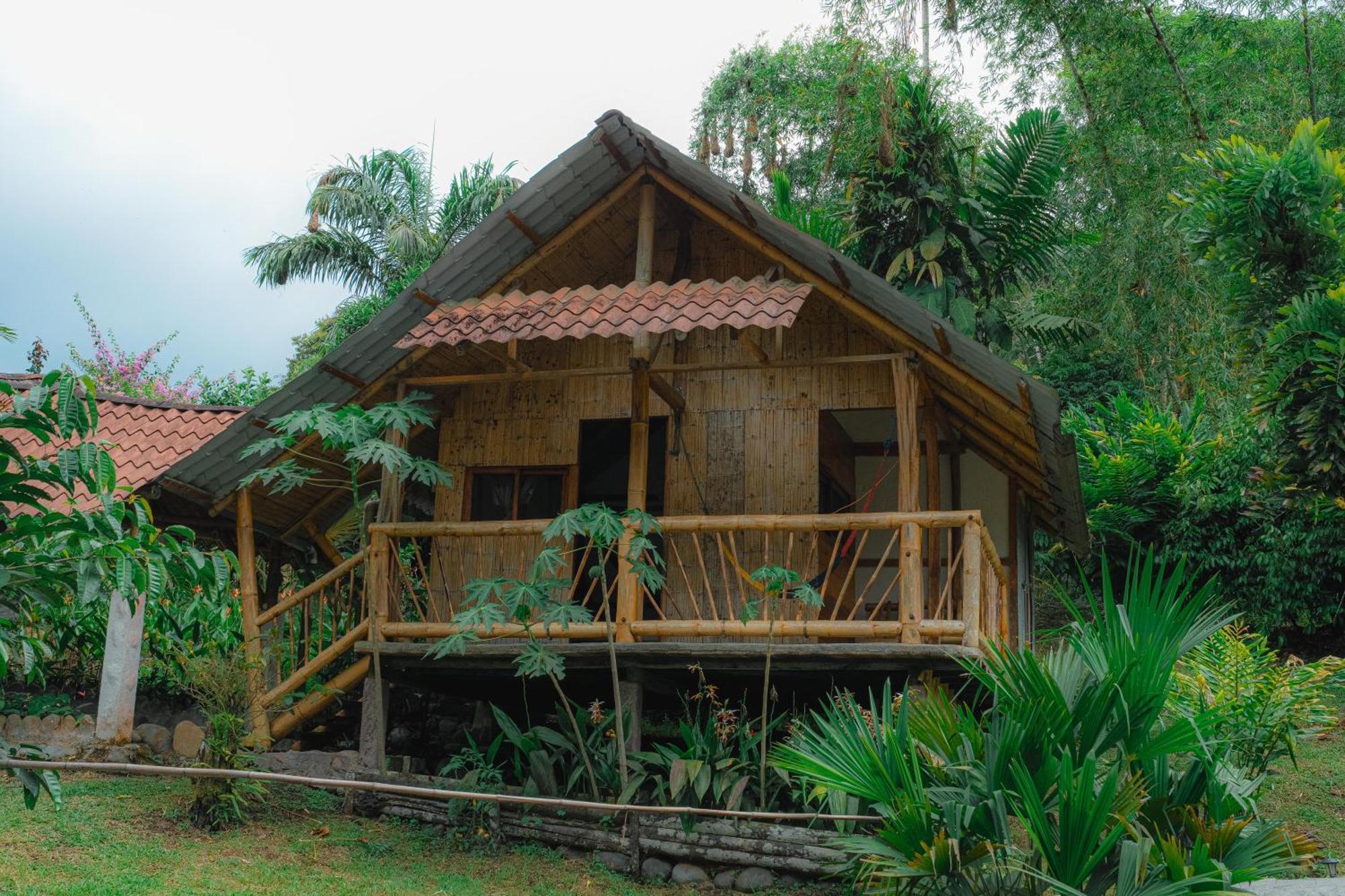Finca Las Palmas Ecolodge Puyo Extérieur photo
