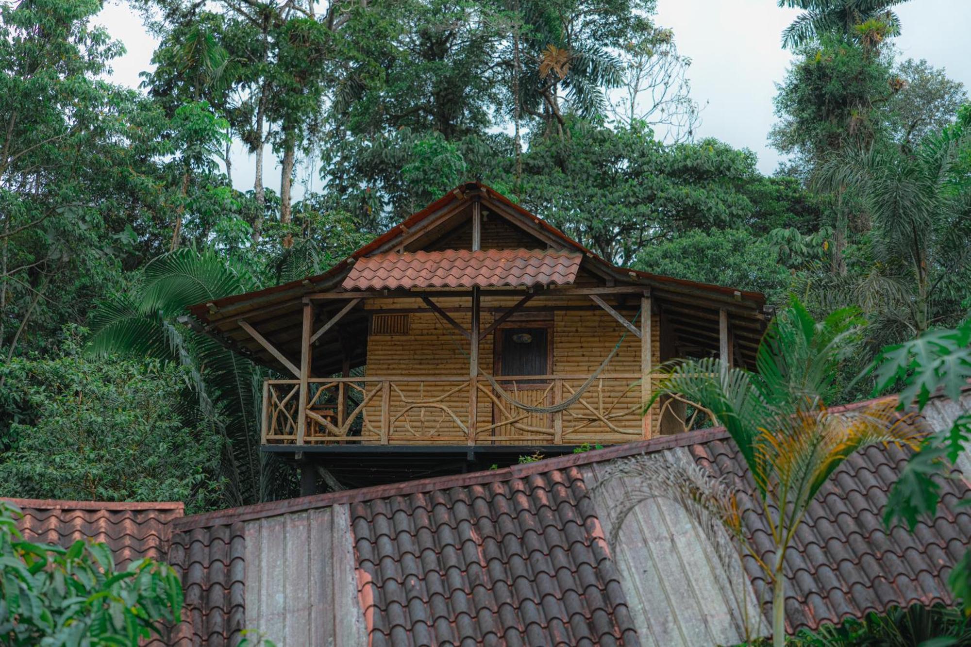 Finca Las Palmas Ecolodge Puyo Extérieur photo