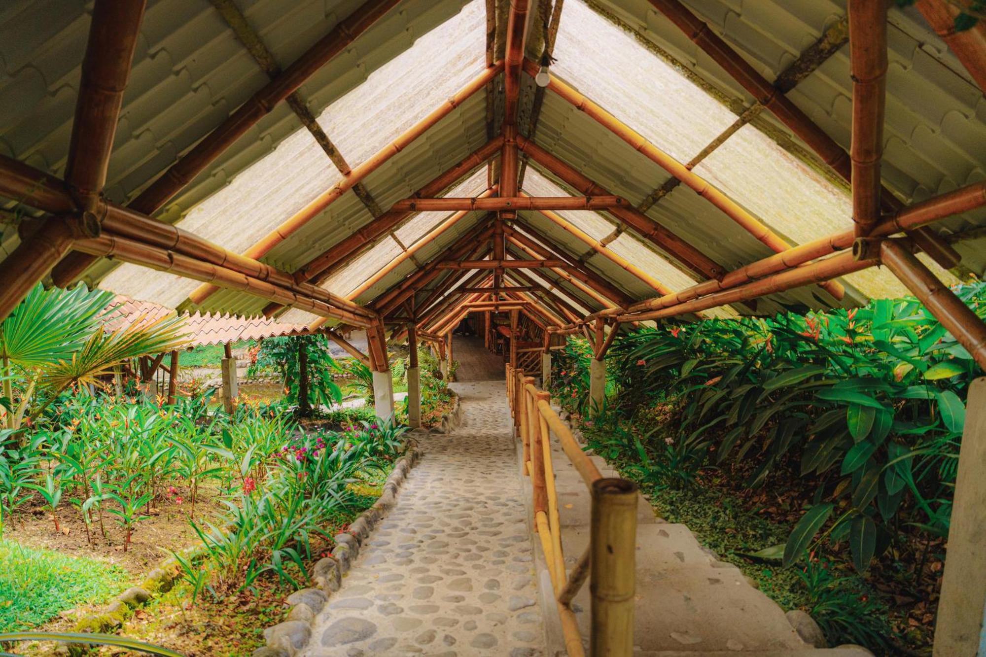 Finca Las Palmas Ecolodge Puyo Extérieur photo