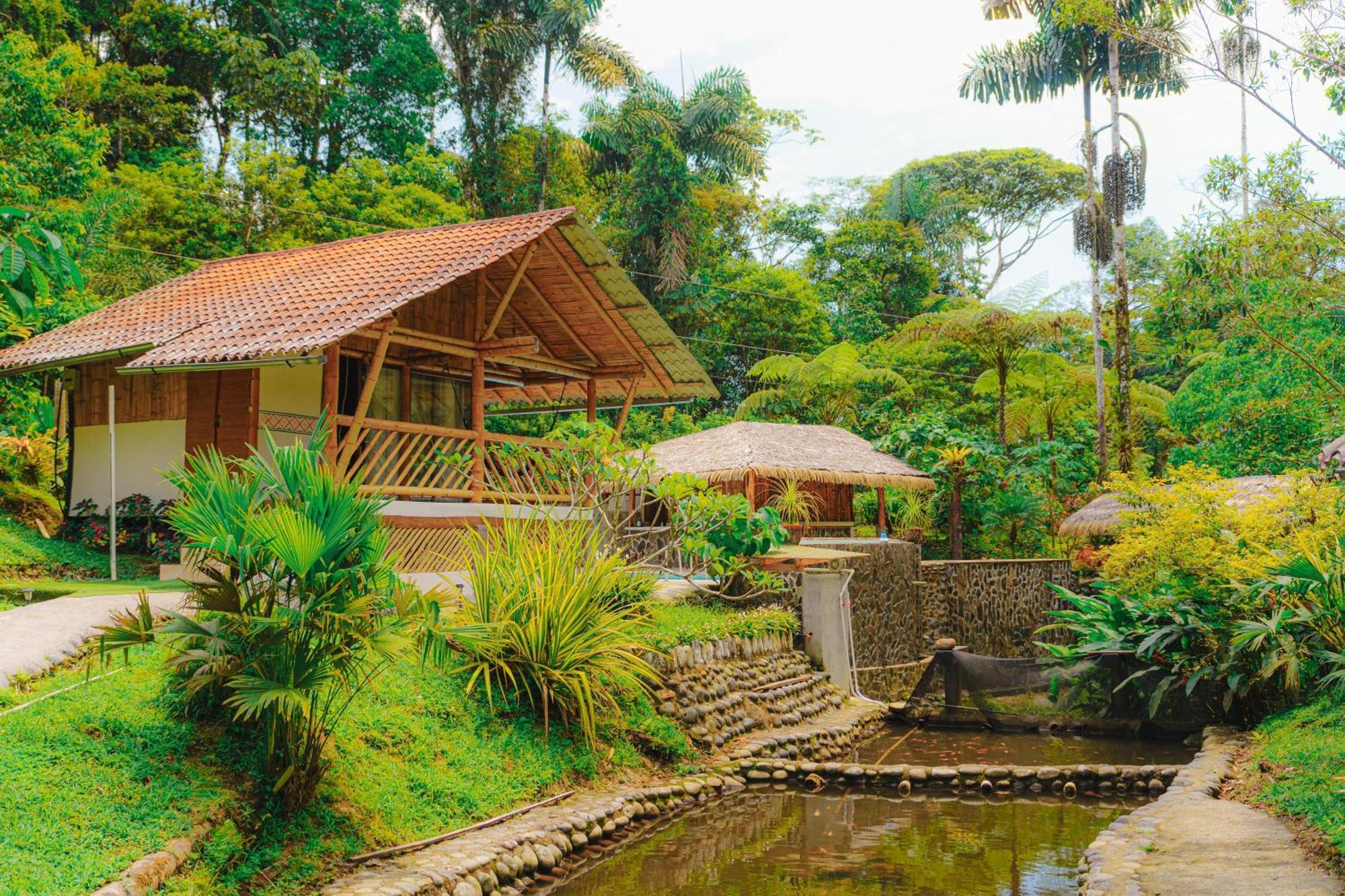 Finca Las Palmas Ecolodge Puyo Extérieur photo