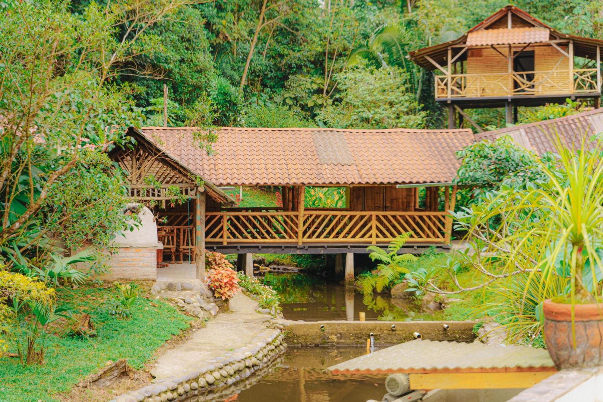 Finca Las Palmas Ecolodge Puyo Extérieur photo