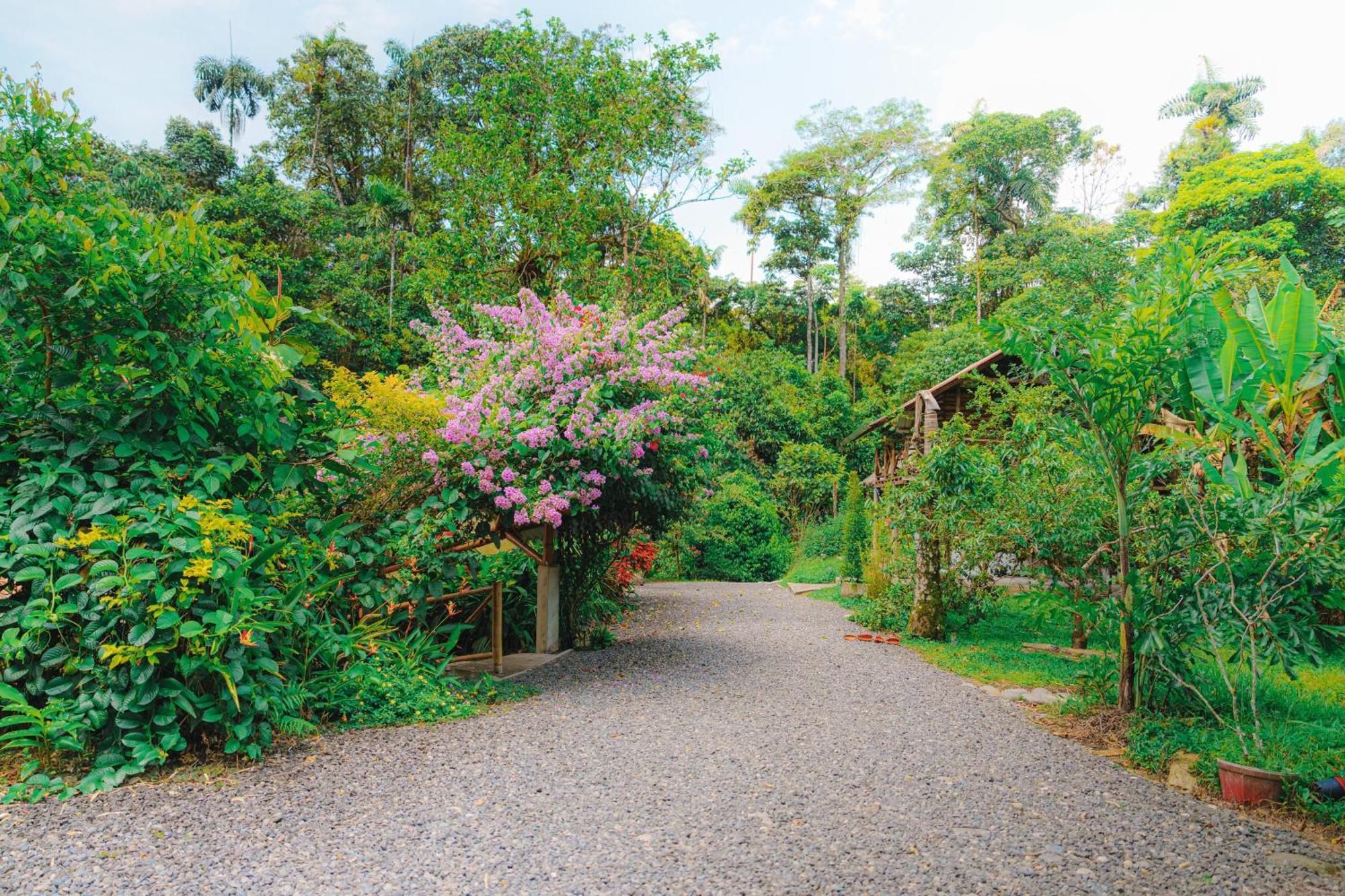 Finca Las Palmas Ecolodge Puyo Extérieur photo